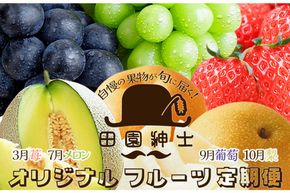 田園紳士厳選　オリジナルフルーツ定期便4回【イチゴ、メロン、黒葡萄、シャインマスカット、梨】　DE00146