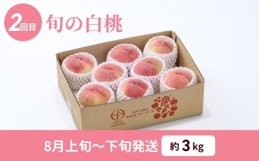 [2回定期便] 旬のネクタリン＆白桃 約2.6～3kg 食べ比べ 年2回定期便 ［おぶせファーマーズ］ネクタリン 白桃 フルーツ 果物 冷蔵便 クール便 長野県産 信州産 小布施 令和7年産【2025年7月中旬～8月下旬発送】[F-69]