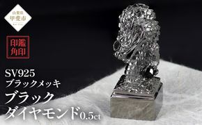 印鑑 龍モチーフ 角印 SV925 〔工芸品〕stamp-003　BR-63