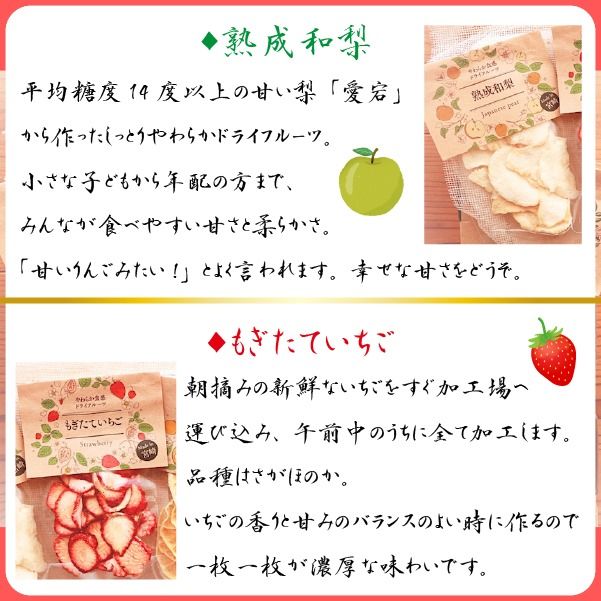 【旬の果物100％】果物好きのためのドライフルーツ おためし4種セット
