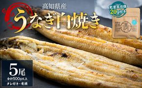 白焼き 国産うなぎ 高知県産 白焼き 5尾(100～110g×5尾) 合計500g以上 【7日程度で発送】 田野町完全天日塩 20g付き 黒箱 yw-0086