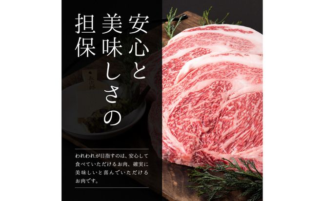 鳥取和牛　ローストビーフ用赤身ブロック500g 313726_DC018