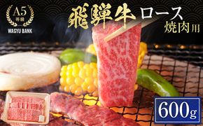 飛騨牛ロース 焼肉用 600g 飛騨牛 A5等級 和牛 黒毛和牛 F4N-2668