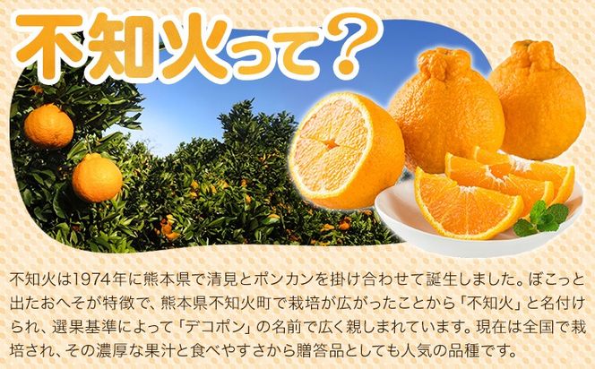 青木さんちの不知火(しらぬい)『味自慢』　1箱(18玉～24玉入り)　《2026年3月末頃出荷》　[柑橘 春 人気 フルーツ 佐那河内 さなごうち ジューシー デコポン 贈答 進物 ギフト]【配送不可地域あり】※離島不可---sanagouchi_amh_1_1hk---