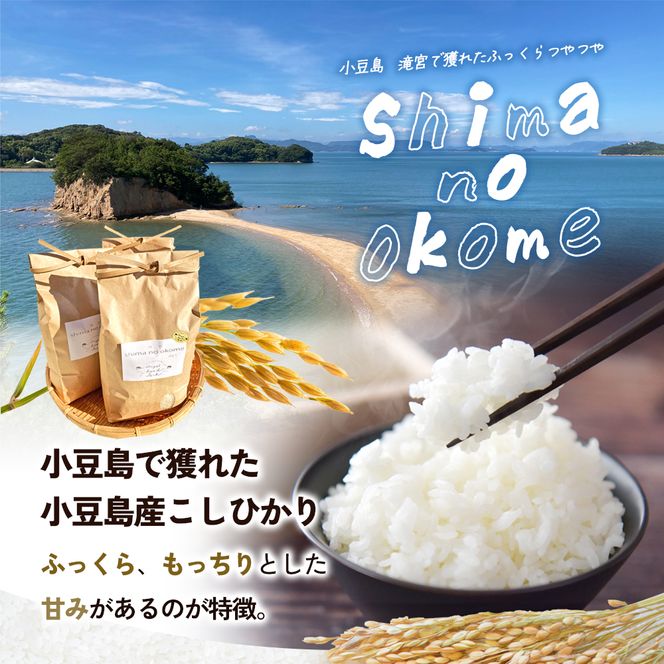 【 小豆島 】小豆島 滝宮で獲れたふっくらつやつや 小豆島産 コシヒカリ 2kg×3袋 こしひかり お米 米 白米 精米 もっちり 甘み 6kg 香川 香川県 土庄 土庄町