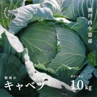 瀬戸内 牛窓産 キャベツ 約10kg（4～8玉） 野菜 岡山県産 