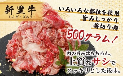 石垣島産 黒毛和牛 新里牛 多用途抜群！ 切落し (500g×1) 500g SZ-13