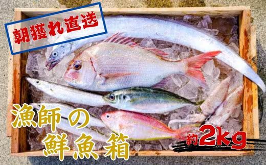 669.漁師の鮮魚箱（約2kg）(A669-2)