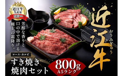 【げんさん】近江牛A5ランク焼肉・すき焼セット【800g】【DG11W1】