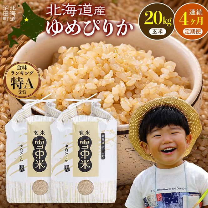 令和8年産【定期便4ヶ月】ゆめぴりか 玄米 20kg（10kg×2袋） 【1月発送】開始 雪冷気 籾貯蔵 雪中米 北海道 nr-3579