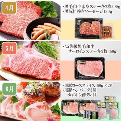 定期便(1年で10回配送)お楽しみ便(A5等級黒毛和牛・鹿籠豚(黒豚)・かご豚加工品等HH-6004 【1166752】