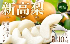 新高梨 約 1.8kg 4～7玉 約 5kg 6～16玉 約 10kg 12～32玉 日本フルーツ株式会社《9月上旬-10月上旬頃出荷》熊本県 荒尾市 新高梨 梨 果物 フルーツ スイーツ デザート ギフト ご贈答---sn_nfntn_ad9_r8_10500_1800g---
