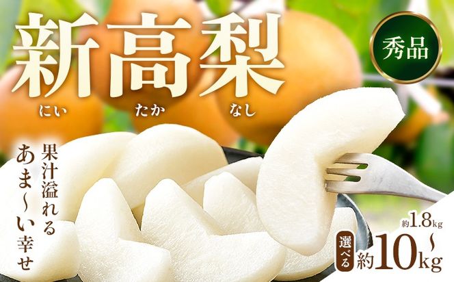 新高梨 約 1.8kg 4～7玉 約 5kg 6～16玉 約 10kg 12～32玉 日本フルーツ株式会社《9月上旬-10月上旬頃出荷》熊本県 荒尾市 新高梨 梨 果物 フルーツ スイーツ デザート ギフト ご贈答---sn_nfntn_ad9_r8_10500_1800g---