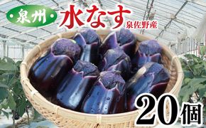 099H4104 泉州 泉佐野市産 ハウス水なす 20個 夏旬の水なすを冬にどうぞ｜