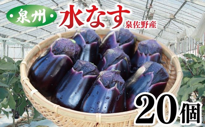 099H4104 泉州 泉佐野市産 ハウス水なす 20個 夏旬の水なすを冬にどうぞ｜