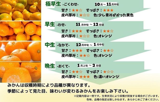 みかん 極早生 箱込 7.5kg (内容量約 6.8kg)  S/M/Lサイズのいずれか 秀品 優品 混合 有田みかん 和歌山県産 【みかんの会】［2026年10月上旬頃より順次発送予定］ 	AX370