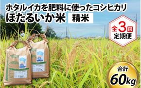 ほたるいか米（精米20kg）×3回 計60kg【3ヶ月定期便】