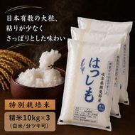【令和7年産】特別栽培米 30kg【白米、7分ツキ】（ハツシモ）