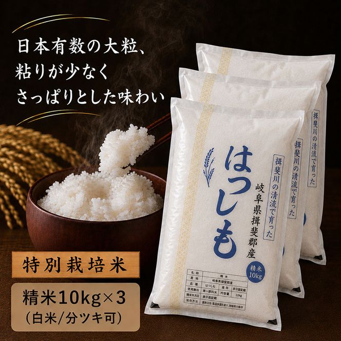 【令和7年産】特別栽培米 30kg【白米、7分ツキ】（ハツシモ）