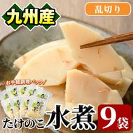 たけのこ水煮乱切り(計630g・70g×9袋)国産 九州産 筍 野菜 使い切り 小分け 個包装【上野食品】akn008-14