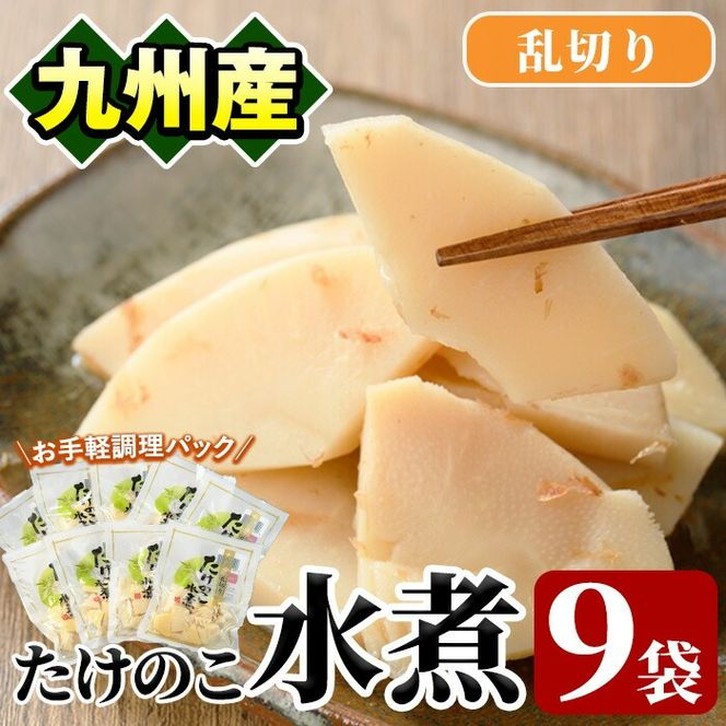 たけのこ水煮乱切り(計630g・70g×9袋)国産 九州産 筍 野菜 使い切り 小分け 個包装【上野食品】akn008-14