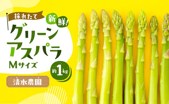 【2026年発送】ふらの産 採れたて グリーンアスパラ(Mサイズ)約1kg [清水農園] アスパラ アスパラガス 野菜 新鮮 甘い 北海道 富良野 ふらの