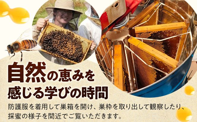 1282.【要予約 大人1名様用】あんどう養蜂 まるごと養蜂体験（約3時間）はちみつ600g付き 313726_BW019