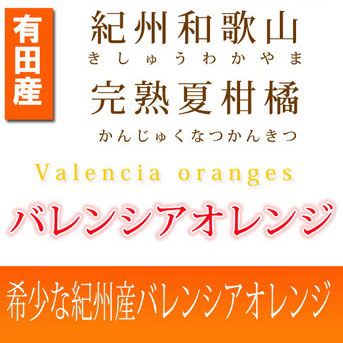 【ご家庭用訳あり】希少な国産バレンシアオレンジ 7kg