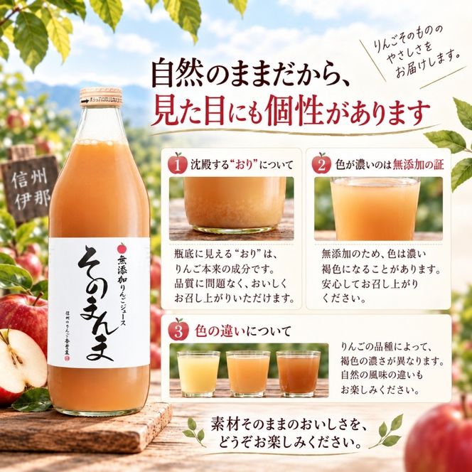 りんごジュース 無添加！ 100% そのまんま りんごジュース 6本入り | 飲料 ジュース 果実飲料 りんご ジュース 無添加 ストレート 長野県 伊那市 【015-65】