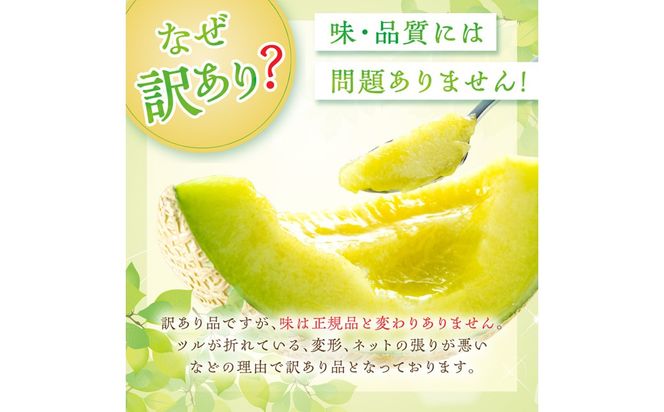 【先行予約】みんな大好き甘～ぃ！京丹後砂丘めろん！ 2玉（2026年7月下旬～発送）　YK00530