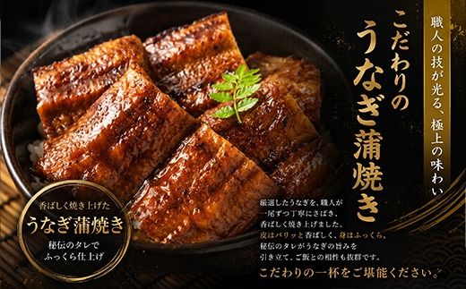 ７０年つぎ足しの秘伝のたれ！初音の厳選高知県産うなぎ蒲焼き２尾【3回定期便】_冷凍 調理済み 時短 湯せん お弁当 個包装 惣菜 小分け 子供 簡単調理 お取り寄せ 人気 湯煎 お湯ぽちゃ レトルト 温めるだけ_hn111