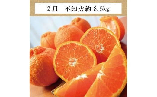 【3か月定期便】たっぷり届く♪ 訳ありみかんの定期便 温州みかん 不知火 清見オレンジ / ご家庭用 ミカン 柑橘 フルーツ 果物 【tkb113】
