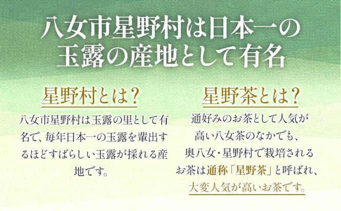 【新茶ギフト】緑茶 星野茶 八女茶 お茶 星野村の八女茶 飲みくらべ2本セット 化粧箱入り お取り寄せグルメ お取り寄せ 福岡 お土産 九州 福岡土産 取り寄せ グルメ 福岡県