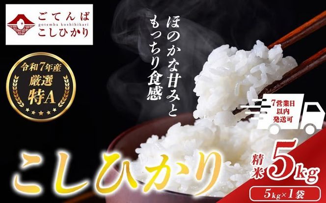 令和7年産 コシヒカリ 【 精米 】 5㎏ 