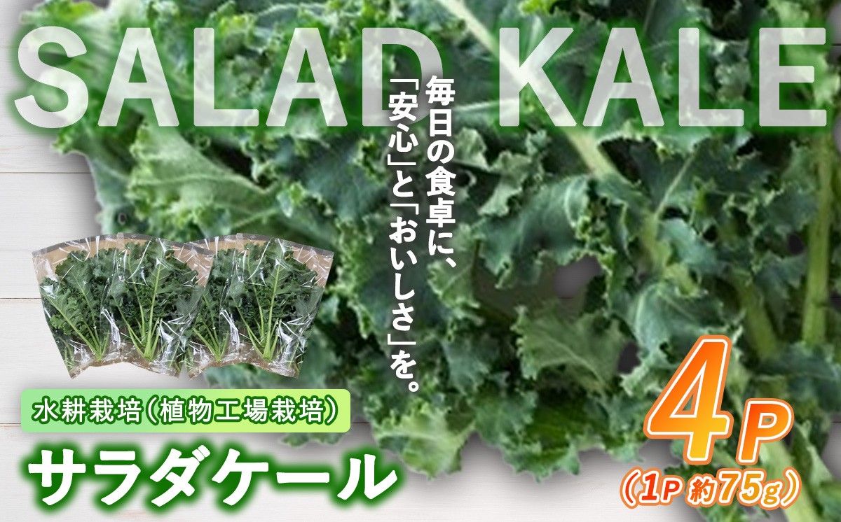 [無農薬]水耕栽培(植物工場栽培)サラダケール 300g(約75g×4P)(その他)