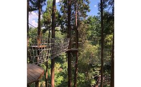 冒険の森inおうじ　アドベンチャーコース7名様チケット 入場券 優待券 体験チケット 