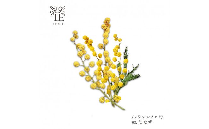 本物の花の香り リード・ディフューザー【ミモザ】 【 リード ディフューザー 花 香り 仙台市 アロマ インテリア フレグランス デザイン 室内 癒し 自然 空間 プレゼント ギフト エッセンシャルオイル リラックス 】 041009_HW001VC03
