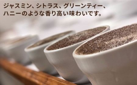 ysz R[q[  250g × 2 i  E  Iׂ܂ j jJOAY G|xj[_ WojJ i` st yCOFFEE UNIDOSz [AQF005]  JtF R[q[