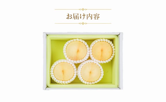 【天満屋選定品】岡山県産 白皇 約1.2kg 4～5玉（2026年発送）