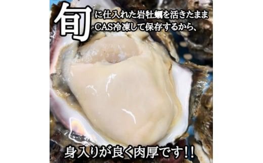 特大!天然岩牡蠣6コ(約5kg～6kg・特上・殻付き生食用)CAS冷凍カキ 海鮮バーベキューBBQに