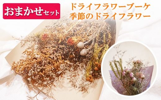 yȖ،szhCt[u[P G߂̃hCt[܂Zbg b  u[P C  CeA i`Mtg  ԑ