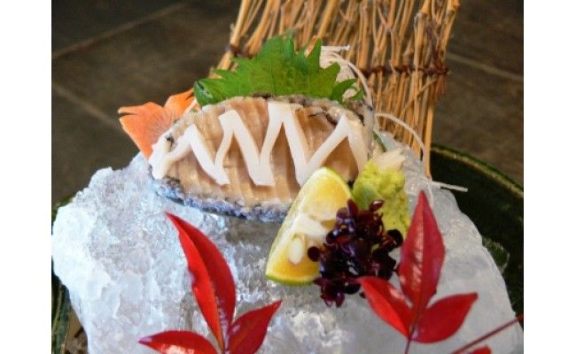 やわコリ食感紀州活アワビ【5個入】◇｜ 海産物 海鮮 魚介類 鮑 おかず あわび 高級食材 養殖 国産 産地直送 鮮貝 美浜町