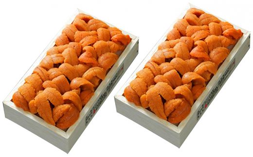 【配送時期が選べる】無添加 エゾバフンウニ 食べ比べセット 計400g（折詰・塩水パック） | ウニ ミョウバン不使用 うに 塩水 うに 塩水パック うに 折詰 uni うに 北海道 生ウニ 雲丹 高級 大容量 登別市
