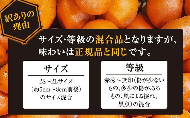 有田みかん専門店 有田の太陽®ファミリー 極早生 有田みかん 2.5kg＋補償分100g 山採れ・サイズ・等級 混合 FH01