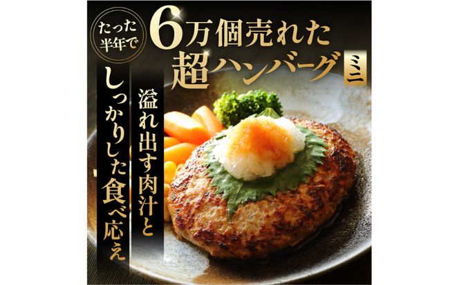 超ハンバーグミニ　5個 【0110-018】