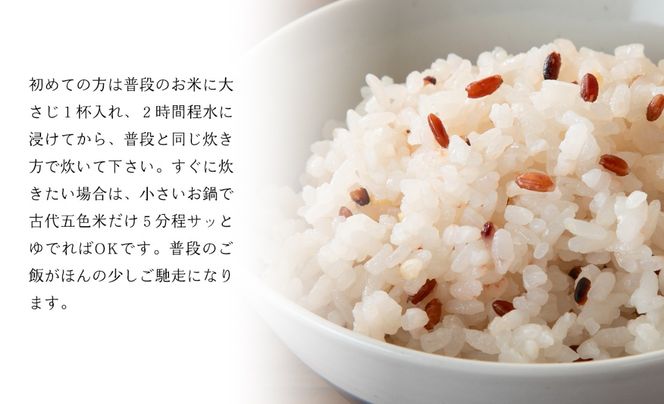C-300】針江のんきぃふぁーむ 有機栽培 古代五色米 150g×5パック