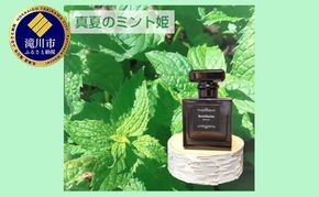 【真夏のミント姫】アロマフレグランス40ml 1個