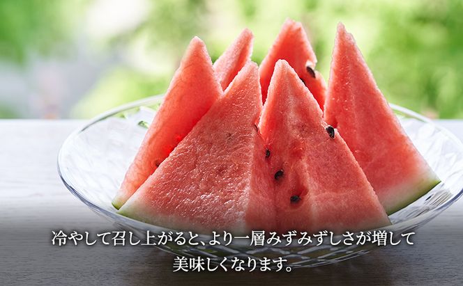 【2026年夏発送】富良野産 ヒグマのごちそう(すいか)[1玉 5L以上 9kg以上/玉] スイカ 果物