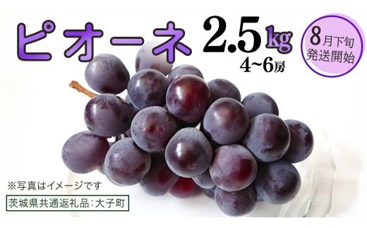 ピオーネ 2.5kg (4～6房)【2026年8月下旬発送開始】(茨城県共通返礼品：大子町) ブドウ ぶどう 葡萄 ピオーネ 果物 フルーツ 果実