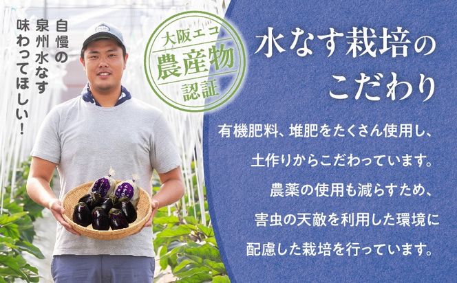G5565 【先行予約】特選 無添加 水なす漬け 徳用水ナス セット【食べ比べ 新鮮 野菜 泉佐野産 茄子 やさい TONOファーム 高評価】